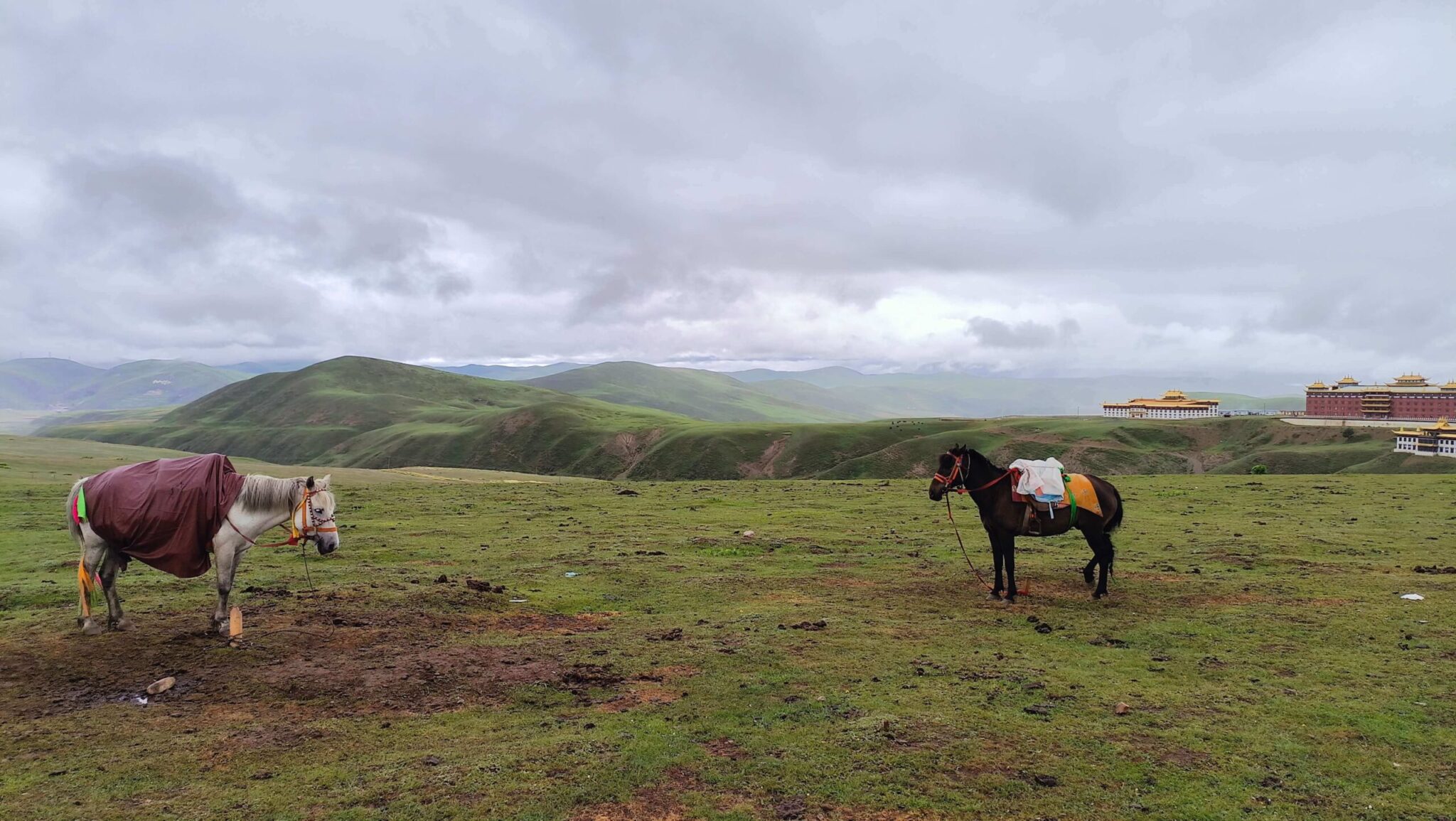 康定木雅大寺前的塔公草原